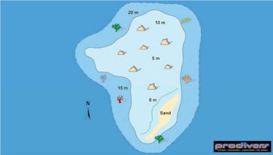 Reethi Giri